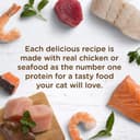 Purina Pro Plan Savor thumbnail 3