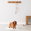 Amazon Basics Dog and Puppy Pee Pads thumbnail 6