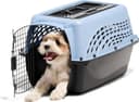 Royal Canin Small Breed Adult thumbnail 2