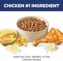 Purina Pro Plan Complete Essentials Chicken & Rice thumbnail 3