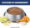 Merrick Grain Free Real Texas Beef & Sweet Potato thumbnail 6