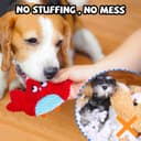 Purina Pro Plan Large Breed thumbnail 6