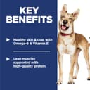 Nutro Ultra Adult Dry Dog Food thumbnail 4
