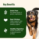IAMS Proactive Health Adult MiniChunks thumbnail 5