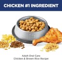 Blue Buffalo Life Protection Formula thumbnail 4