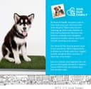 PETMAKER Artificial Grass Puppy Pee Pad thumbnail 6