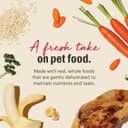 CANIDAE PURE Limited Ingredient Salmon & Sweet Potato thumbnail 5