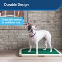 PetSafe Piddle Place Dog Potty thumbnail 6