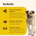 Purina ONE SmartBlend True Instinct Turkey & Venison thumbnail 5
