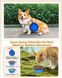 Purina Pro Plan Sensitive Skin & Stomach thumbnail 3