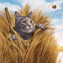 IAMS Proactive Health thumbnail 2