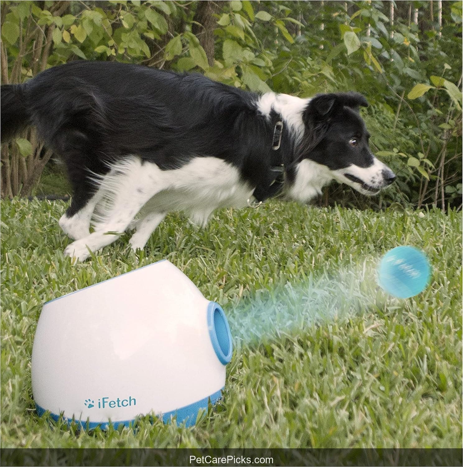 iFetch Too Interactive Ball Launcher for Large Dogs - Image 1