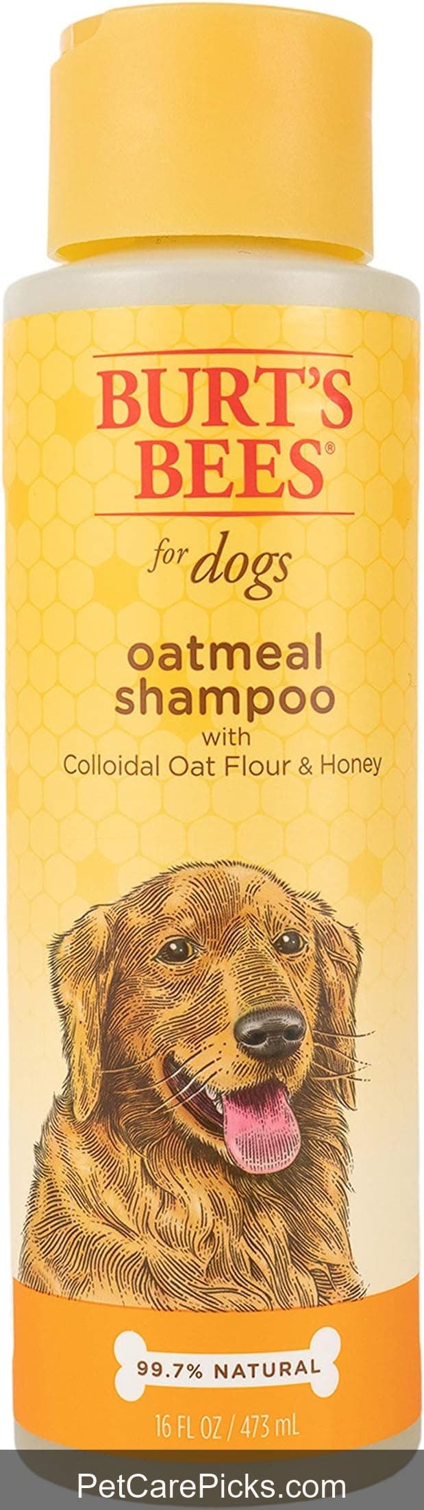 Burt's Bees Oatmeal Dog Shampoo - Image 1