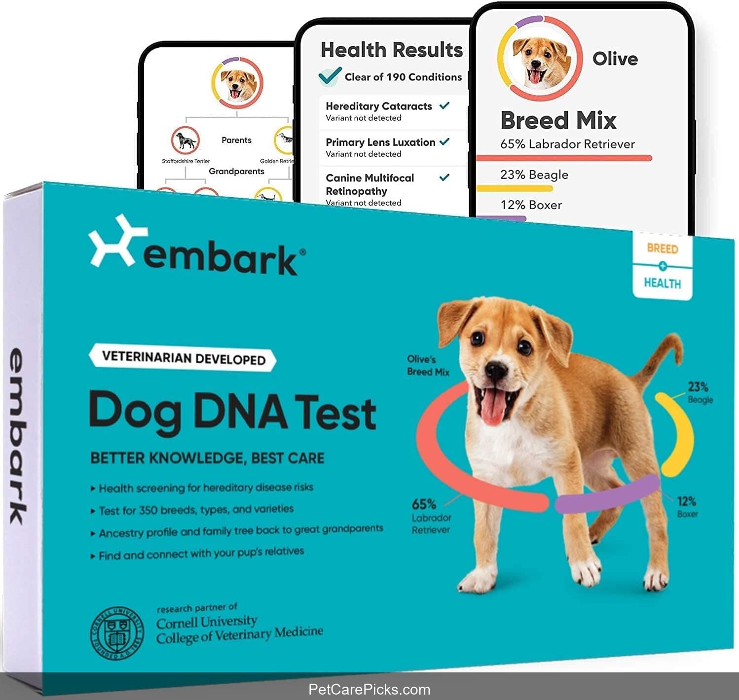 Embark Breed Identification Dog DNA Test - Image 1