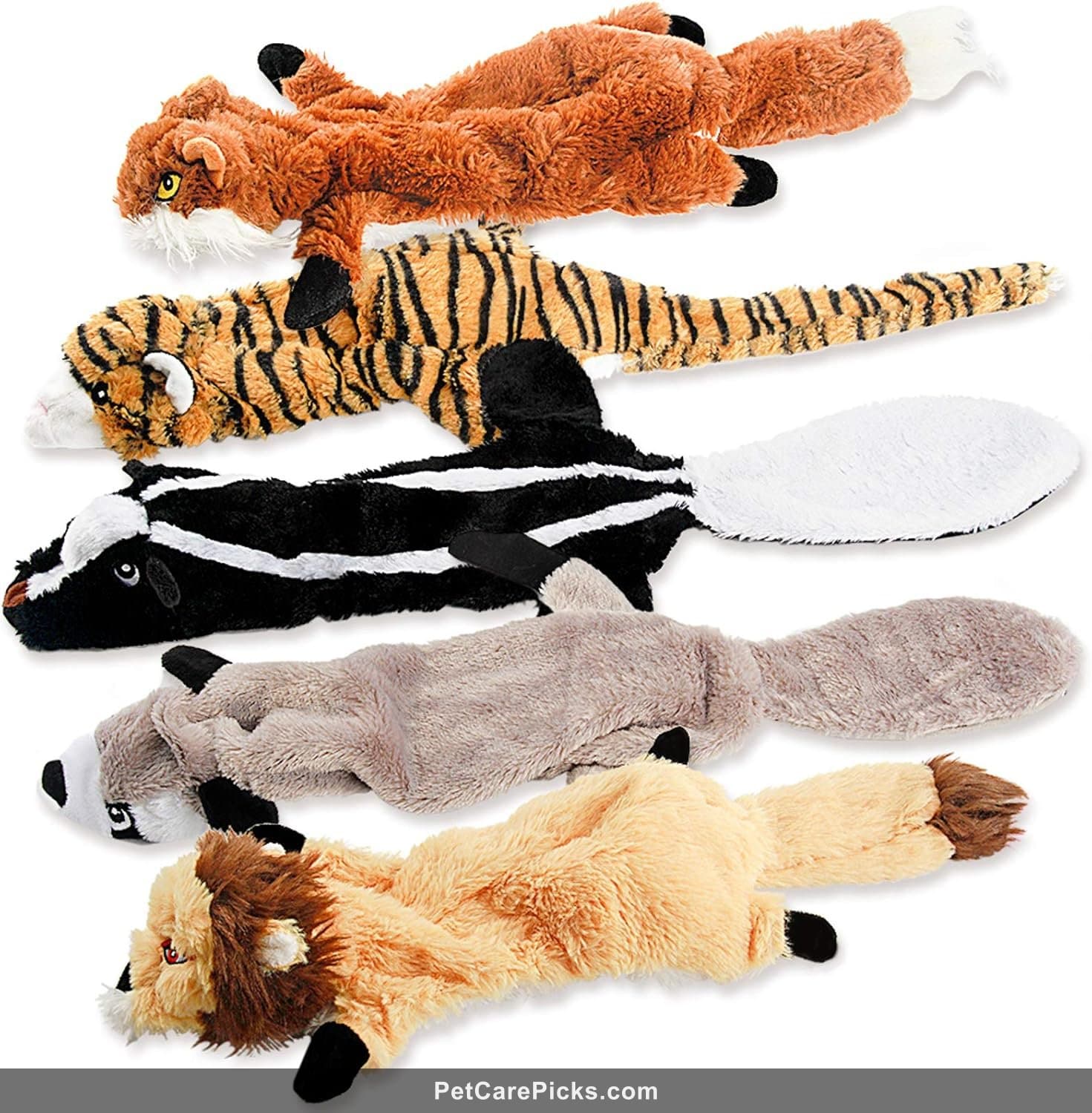 IAMS Proactive Health Indoor - Image 1