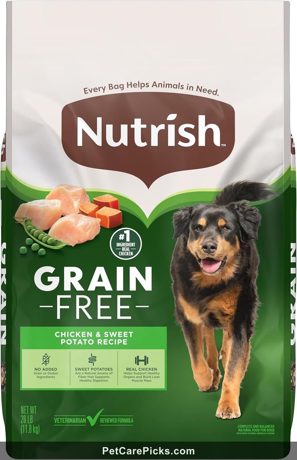 IAMS Proactive Health Adult Dog Food Review - Best Budget Option 2026