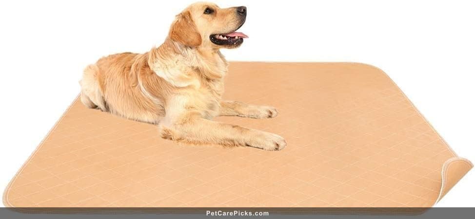 Mihachi Washable Pee Pads Review - Extra Large Coverage