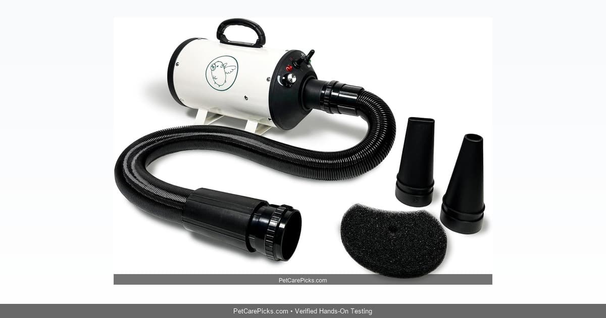 Flying Pig High Velocity Dog Dryer Review 2026: Pro Blow Drying at Home