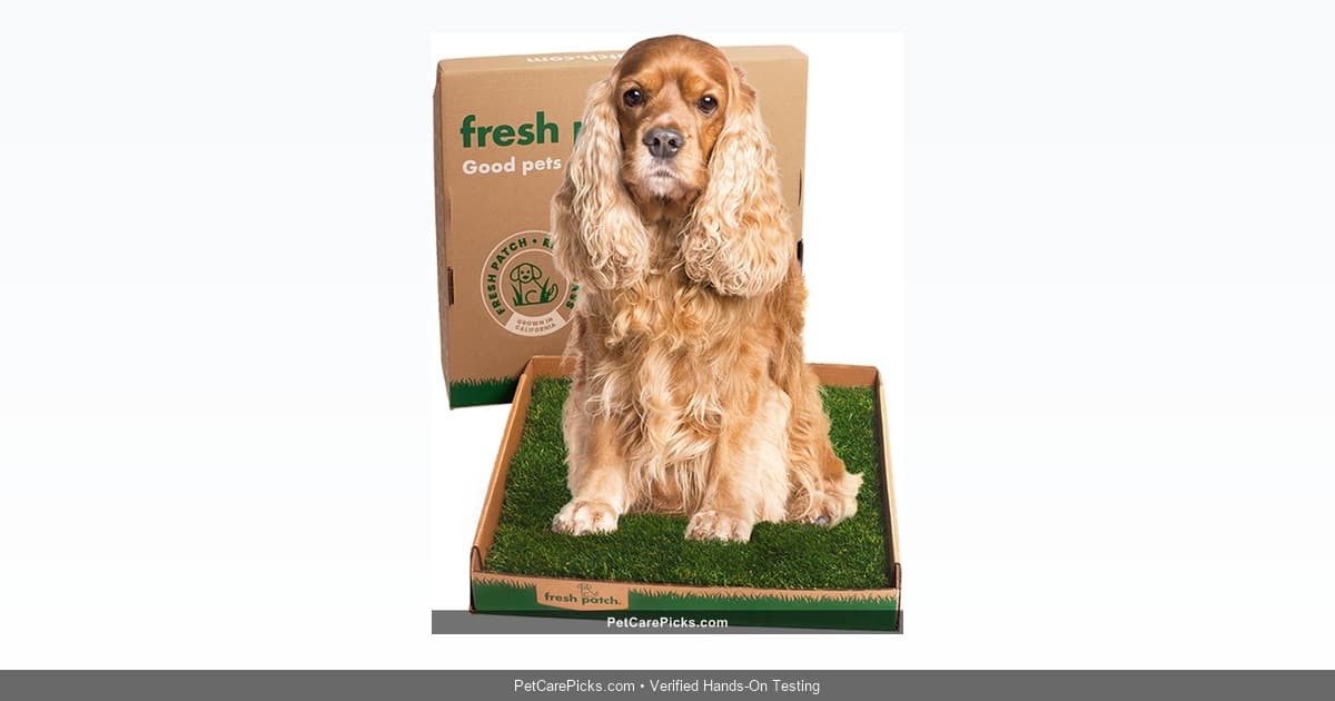 Fresh Patch Real Grass Dog Potty Review - Living Grass Solution