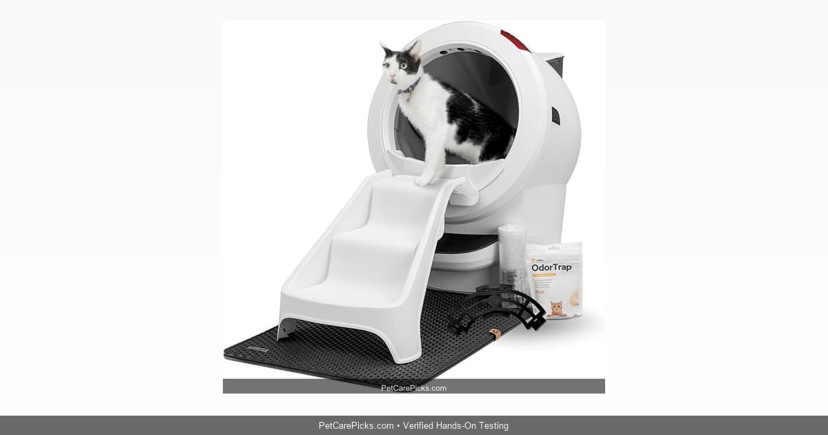 Litter-Robot 4 In-Depth Review 2026: Is It Truly Worth $700?