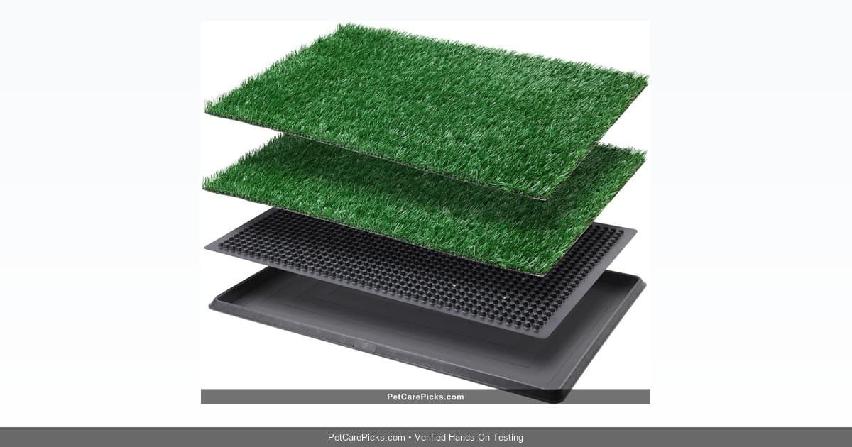 LOOBANI Dog Grass Pad with Tray Review - Best Indoor Potty System