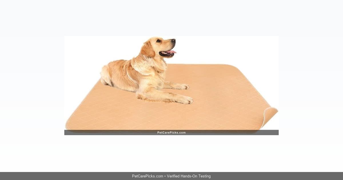 Mihachi Washable Pee Pads Review - Extra Large Coverage