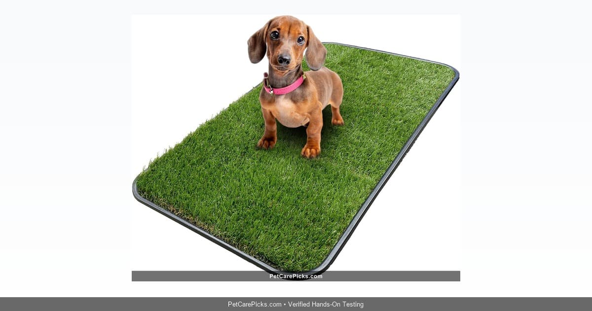 Ottomanson Artificial Grass Potty Training Pad Review - Trainer Recommended