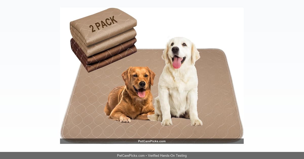 Paw Legend Washable Dog Pee Pads Review - Multi-Size Options