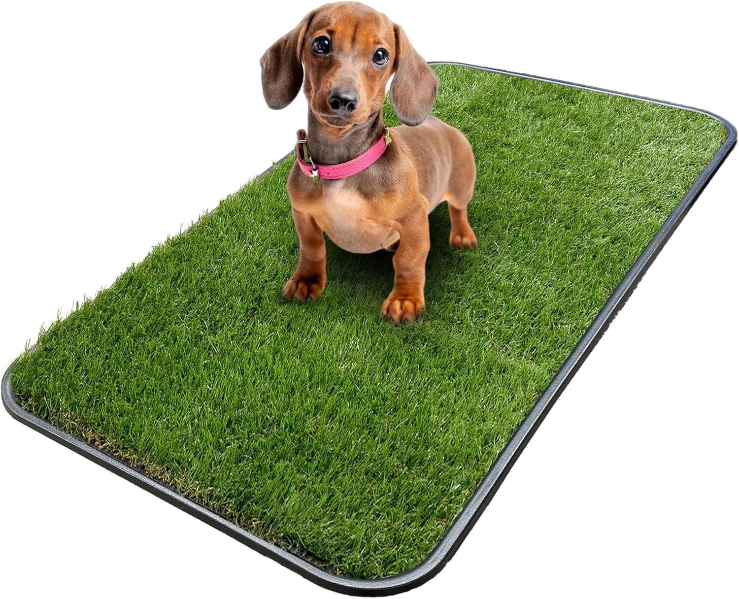 Ottomanson Artificial Grass Puppy Potty Training Pad - Image 1
