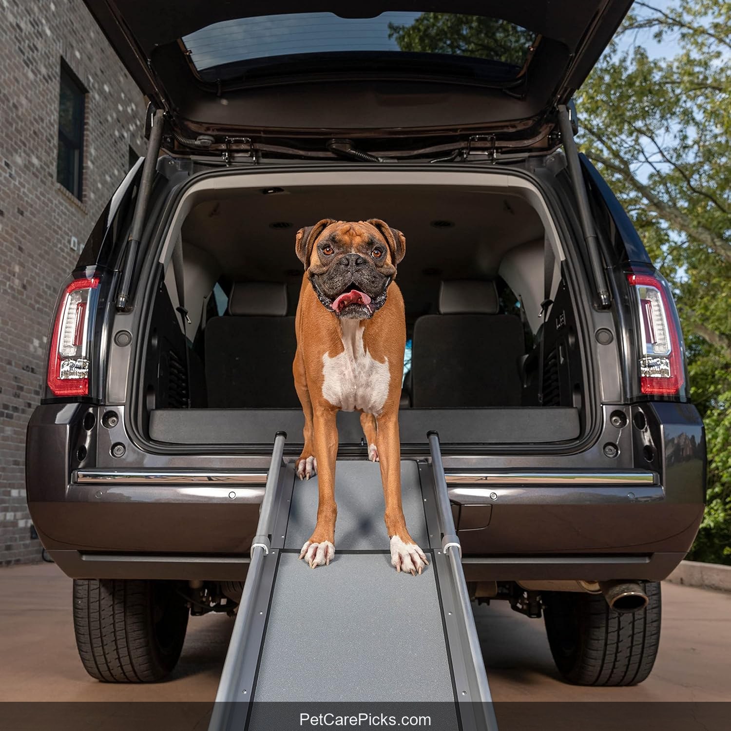 PetSafe Happy Ride Extra Long Telescoping Dog Ramp