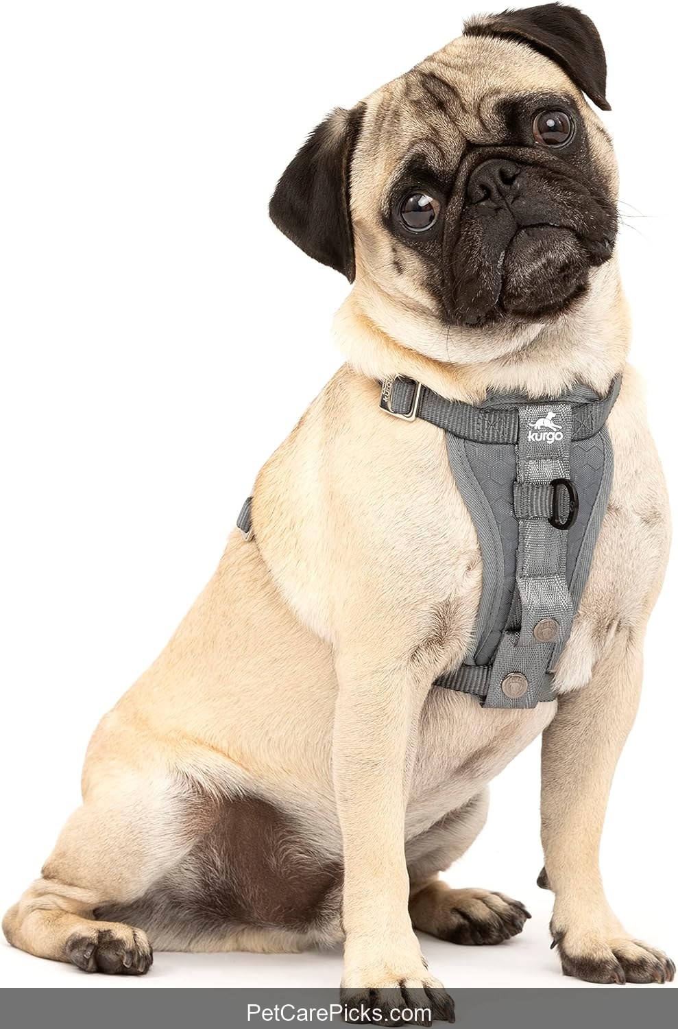 Kurgo Tru-Fit Smart Dog Harness