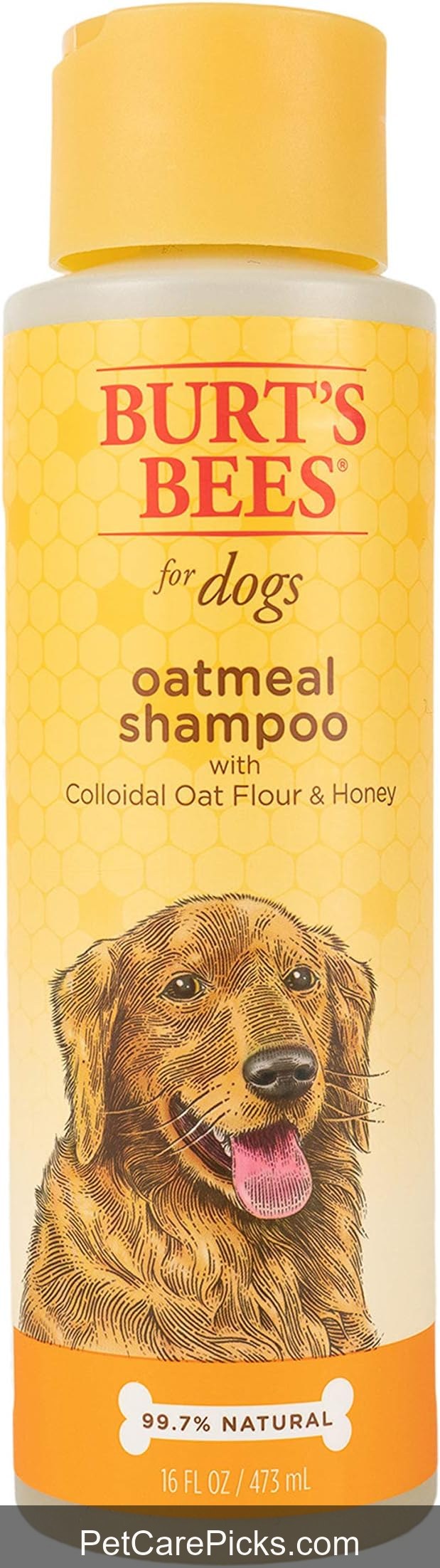 Burt's Bees Oatmeal Dog Shampoo