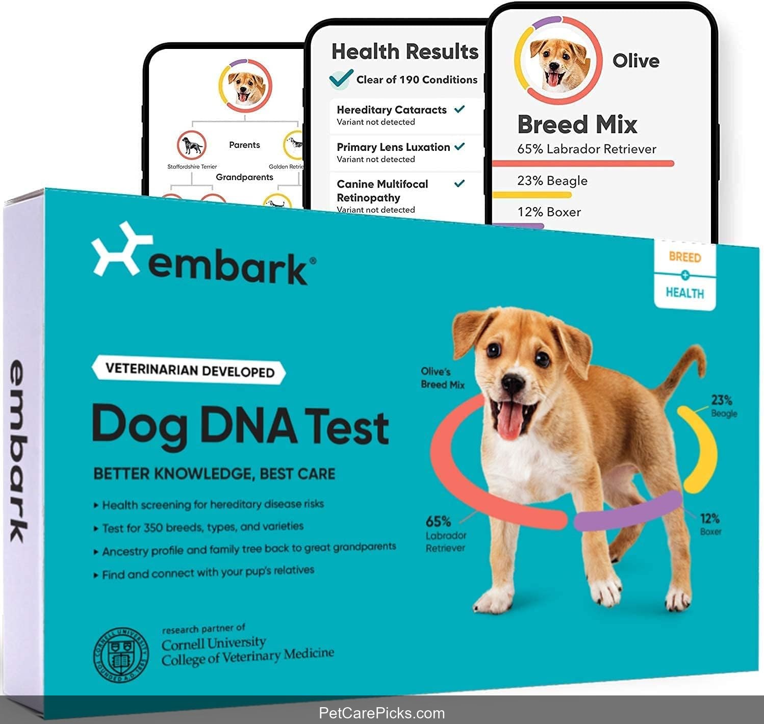 Embark Breed & Health Dog DNA Test Kit