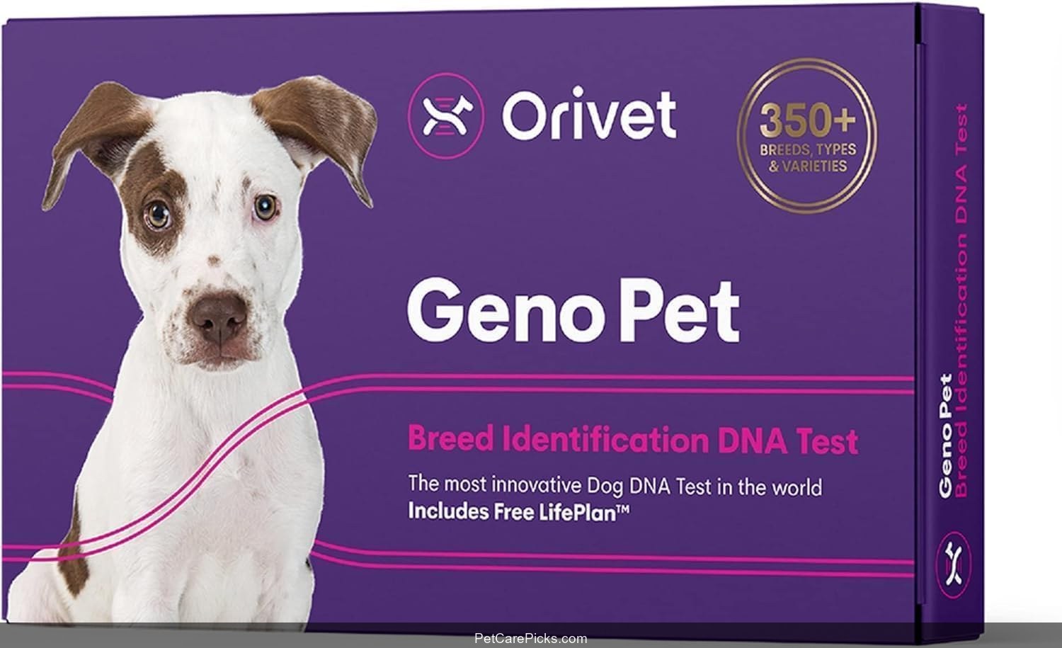Orivet Dog DNA Breed & Health Test