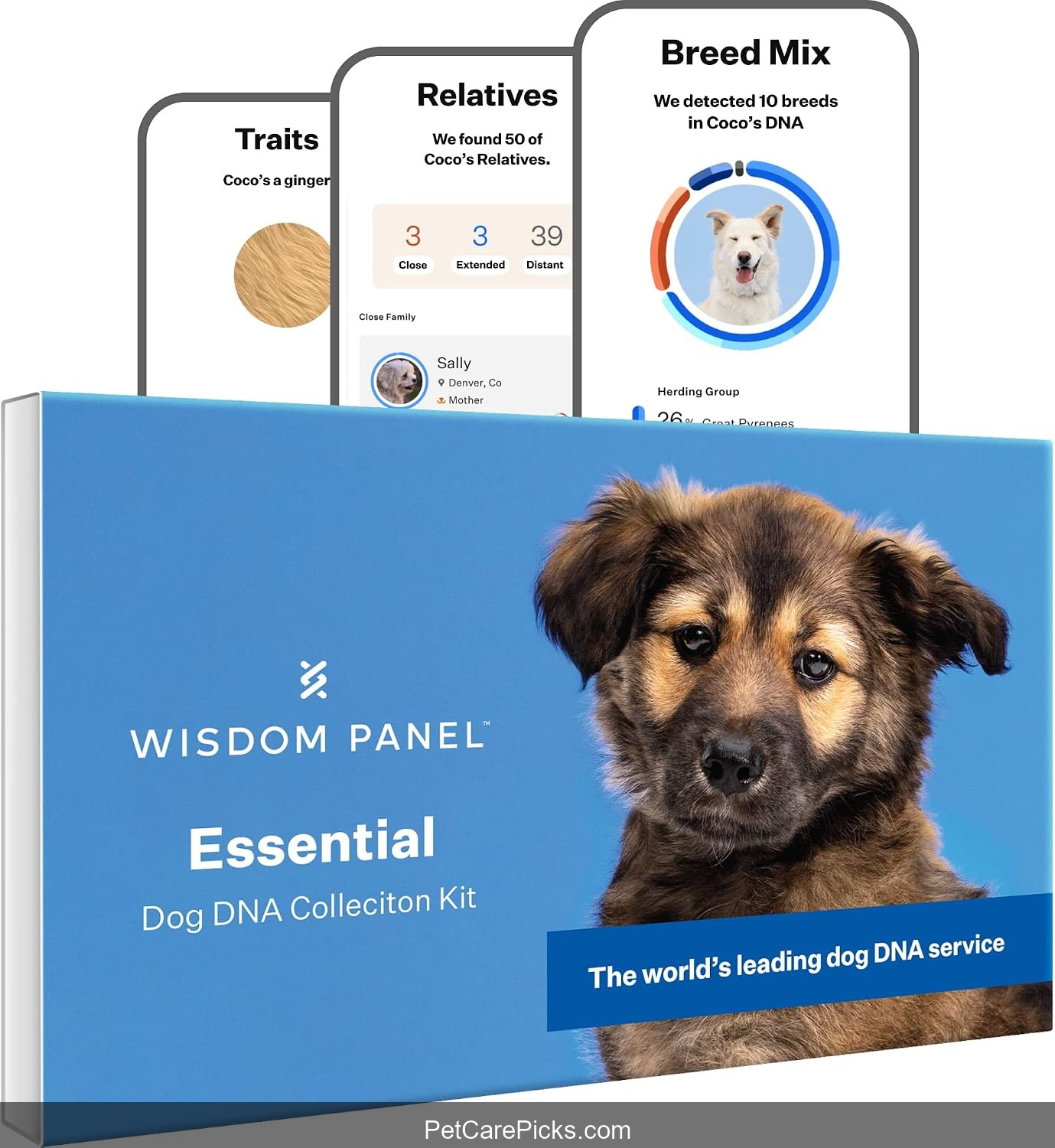 Wisdom Panel Essential Dog DNA Kit