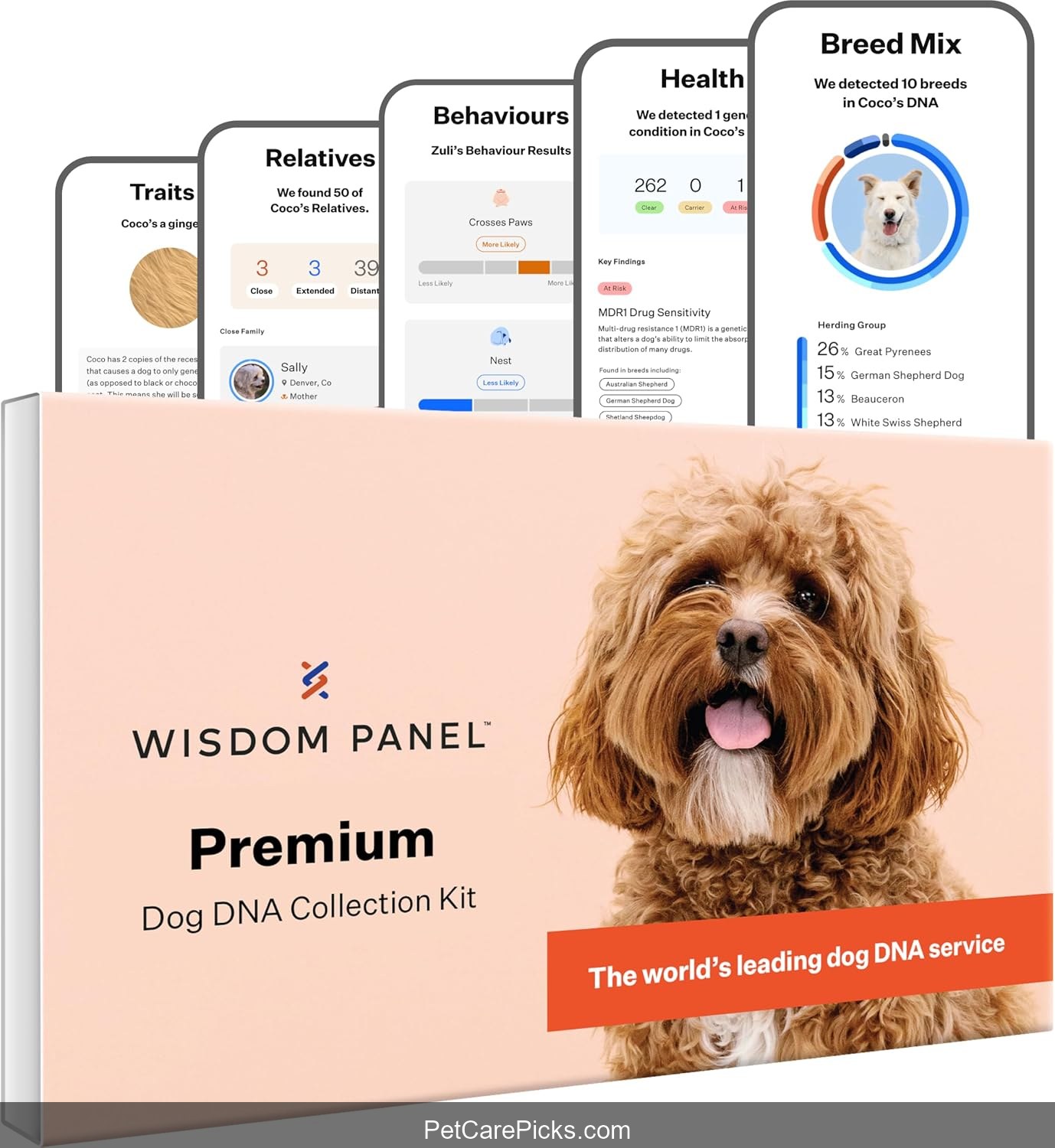 Wisdom Panel Premium Dog DNA Test Kit