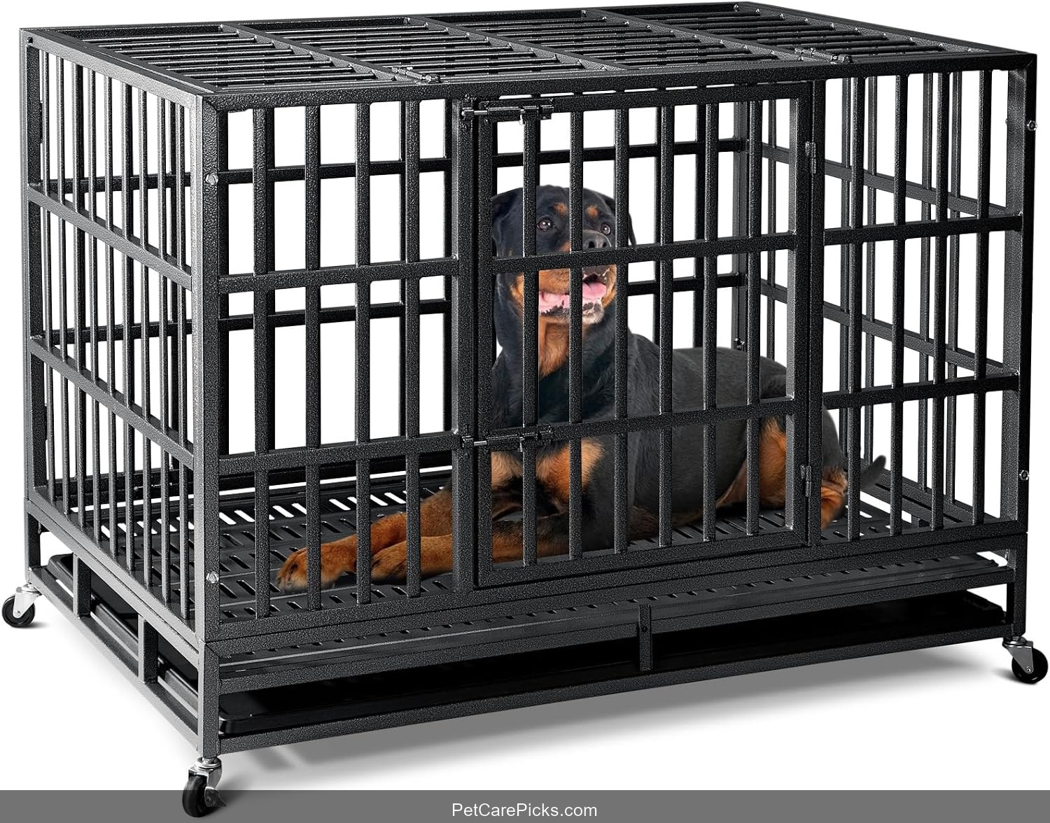 Impact High Anxiety Heavy Duty Dog Crate