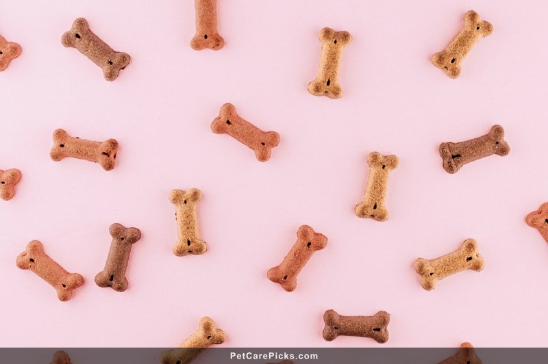 Best Dog Food Compared 2026 - Top 7 Premium Brands Tested & Ranked
