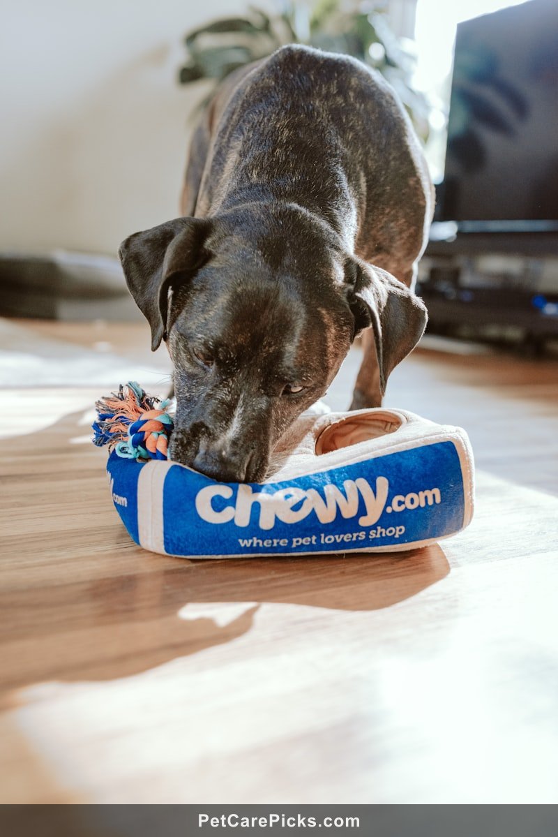 Best Grain-Free Dog Food Compared 2026 - Top 5 Brands Tested