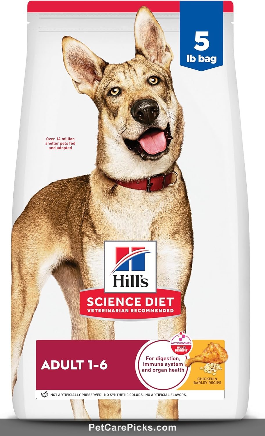 Nutro Ultra Adult Dog Food Review - Superfood Blend 2026