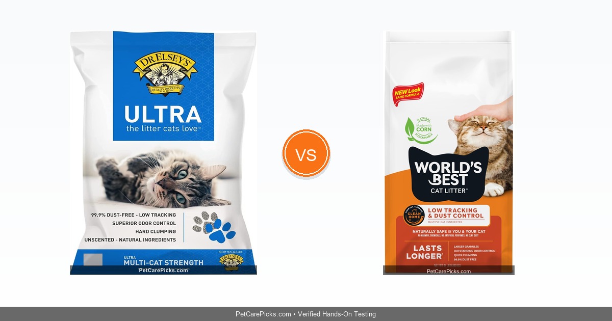Best Cat Litter Compared 2026 - Top 5 Clumping & Low-Dust Formulas