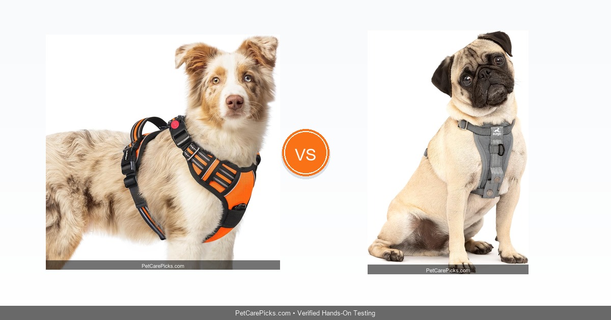 Best Dog Harness Compared 2026 - Top 5 No-Pull Harnesses Tested