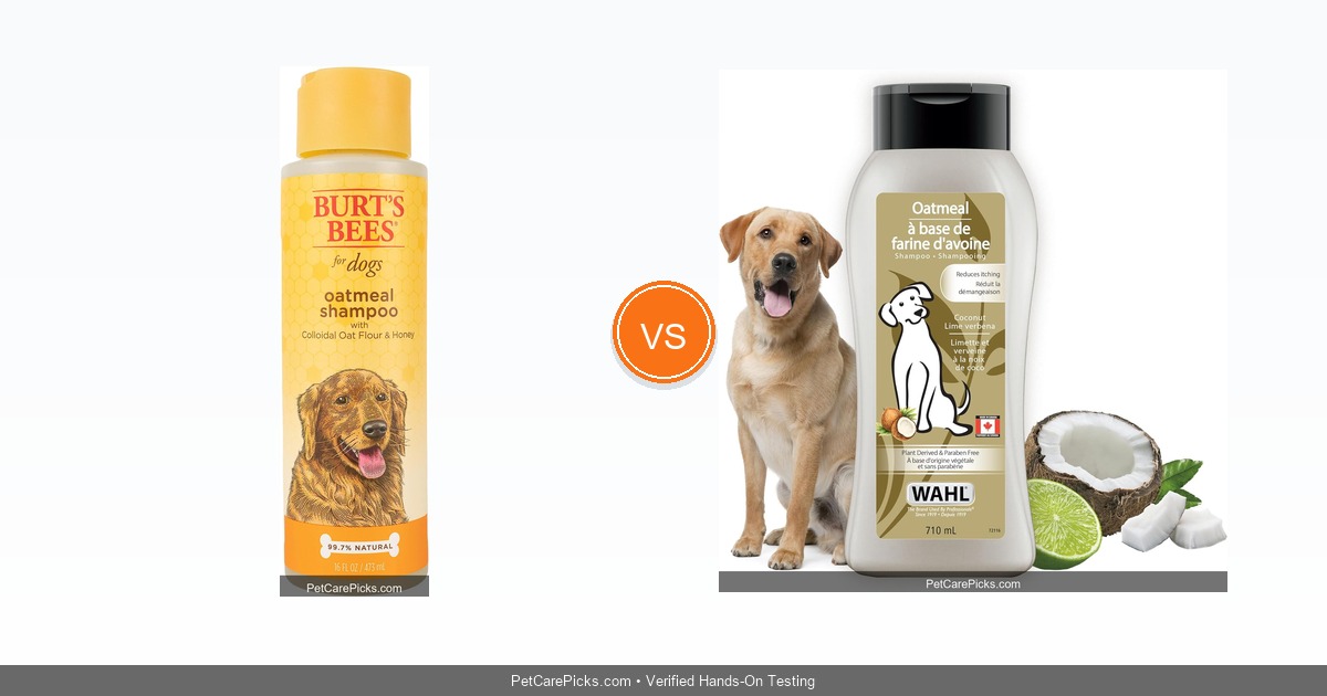 Best Dog Shampoo Compared 2026 - Top 5 for Sensitive Skin & Odor