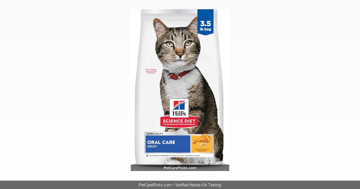 Blue Buffalo Life Protection Chicken & Rice Review 2026: Whole Meat Value