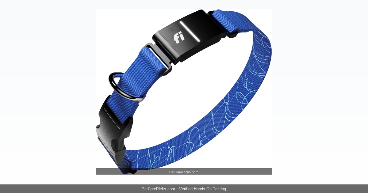 Fi Series 3 Smart Collar Review 2026: The Ultimate Dog GPS Tracker?