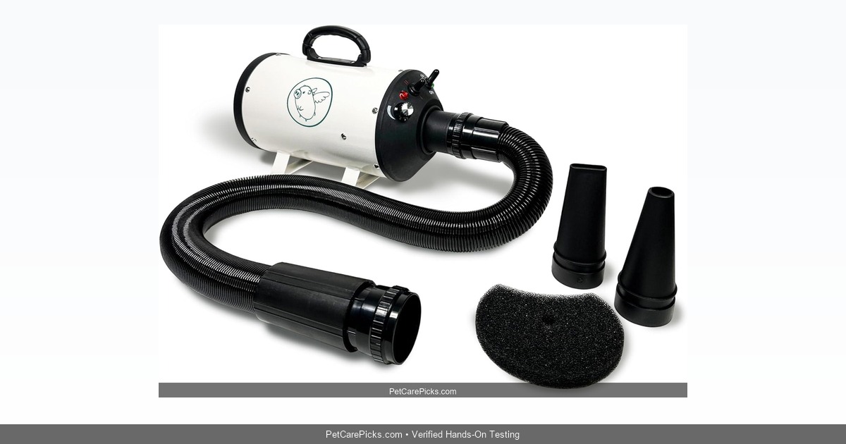 Flying Pig High Velocity Dog Dryer Review 2026: Pro Blow Drying at Home