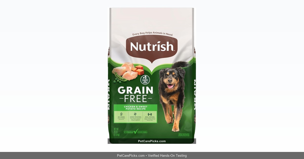 IAMS Proactive Health Adult Dog Food Review - Best Budget Option 2026