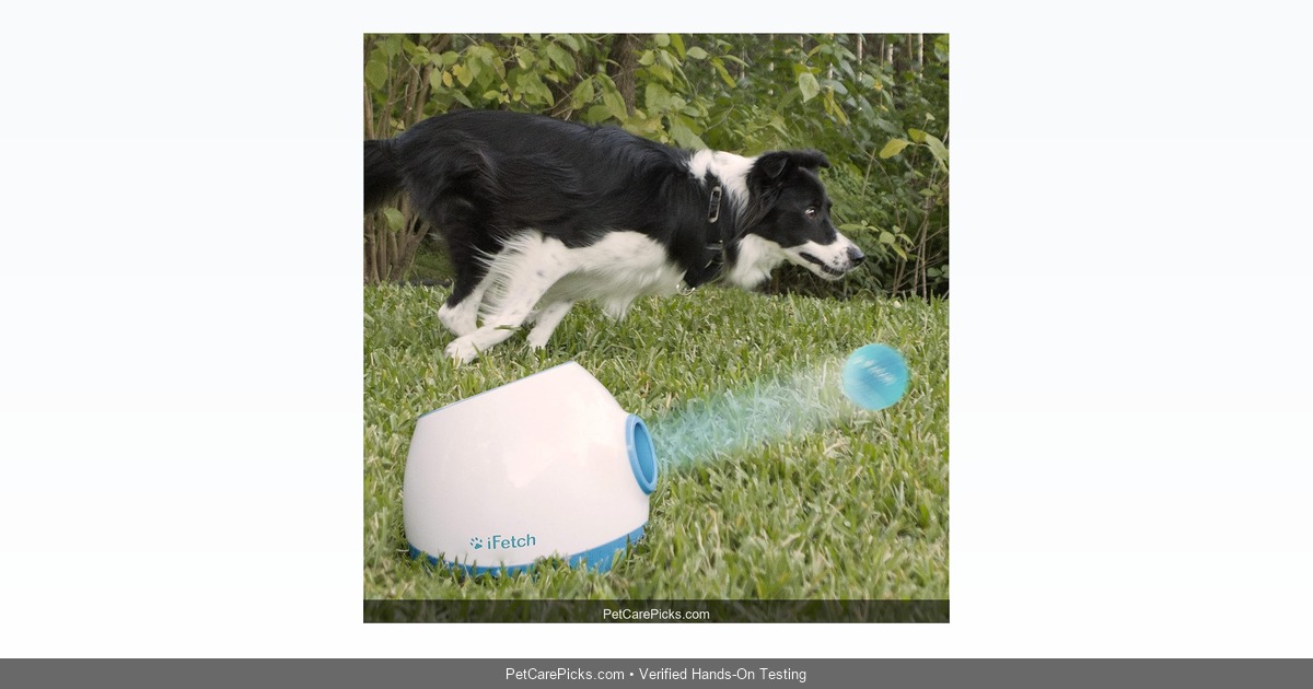 iFetch Too Ball Launcher Review 2026: The Ultimate Fetch Machine