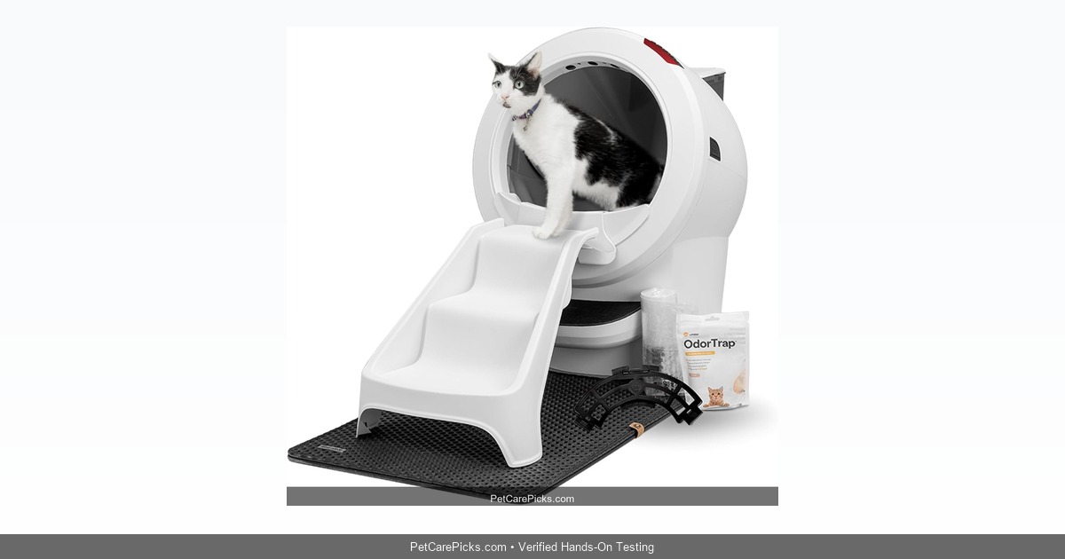 Litter-Robot 4 In-Depth Review 2026: Is It Truly Worth $700?