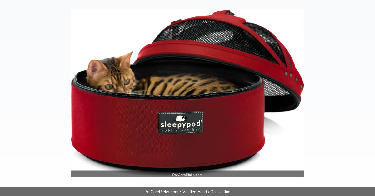 Sleepypod Clickit Terrain Review 2026: The Safest Dog Car Harness